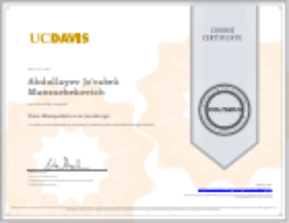 Start the UX Design Process certificate preview